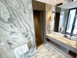 The Ritz-Carlton Residences (D9), Apartment #377409841
